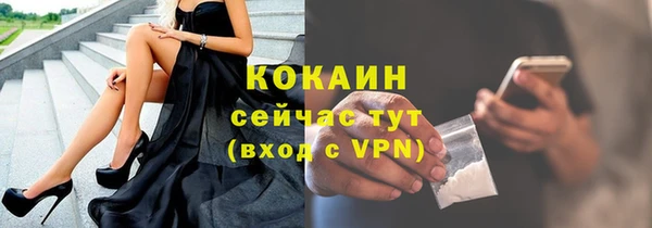 индика Сафоново