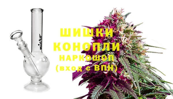 прущая мука Рославль