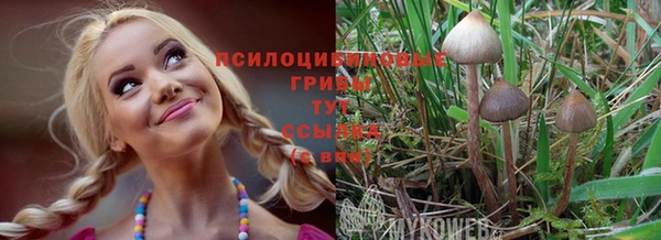 сатива Сатка