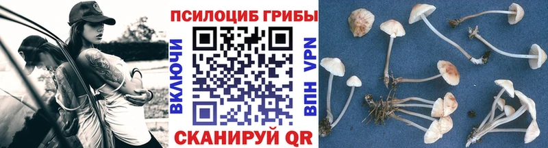 Галлюциногенные грибы ЛСД  Купить где  Сегежа 