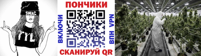 Бошки Шишки семена  Купить где  Сегежа 